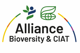 alliance
